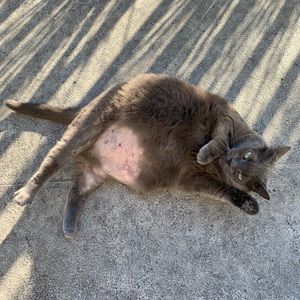 Meet your Posher, Valerie